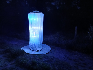 ein von UV-Lampen erhellter mannshoher Turm mit Gage, um anfliegende Insekten zu fangen