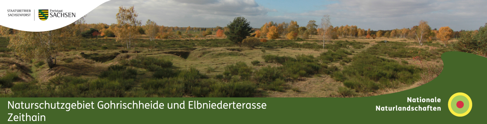 gorheide